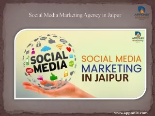 Social Media Marketing Agency in Jaipur