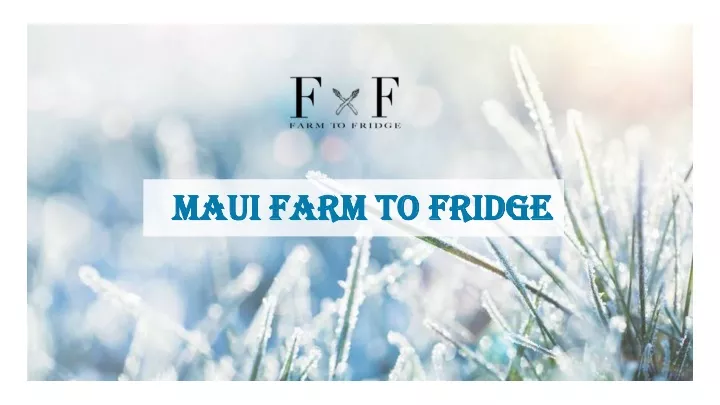 maui farm to fridge