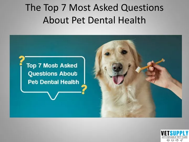 the top 7 most asked questions about pet dental