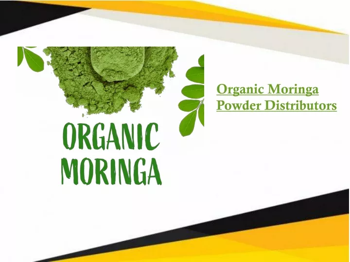 organic moringa powder distributors
