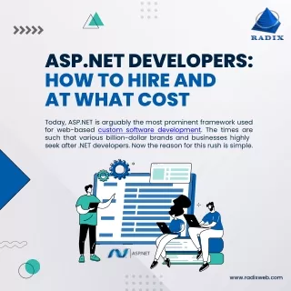 asp net developers