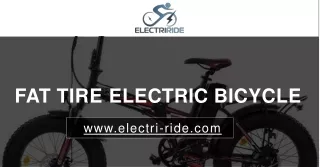 Fat Tire Electric Bicycle - Electri-ride