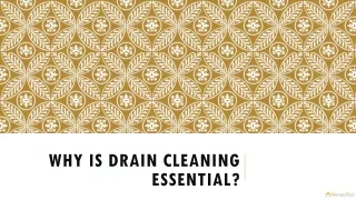 why is drain cleaning essential