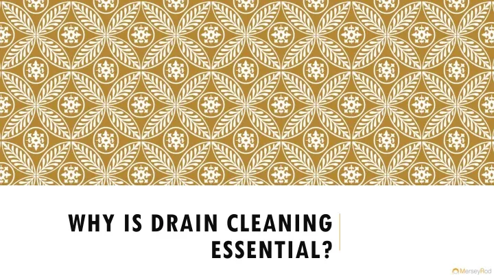 why is drain cleaning essential