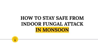 HOW TO STAY SAFE FROM INDOOR FUNGAL ATTACK IN MONSOON
