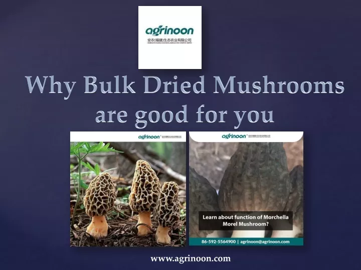 why bulk dried mushrooms are good for you