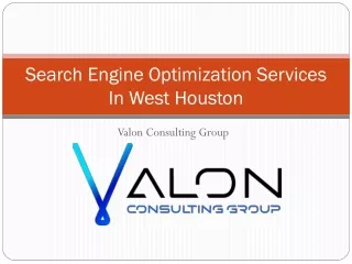search engine optimization services in west houston