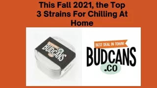 This Fall 2021, the Top 3 Strains For Chilling At Home | Bud Cans