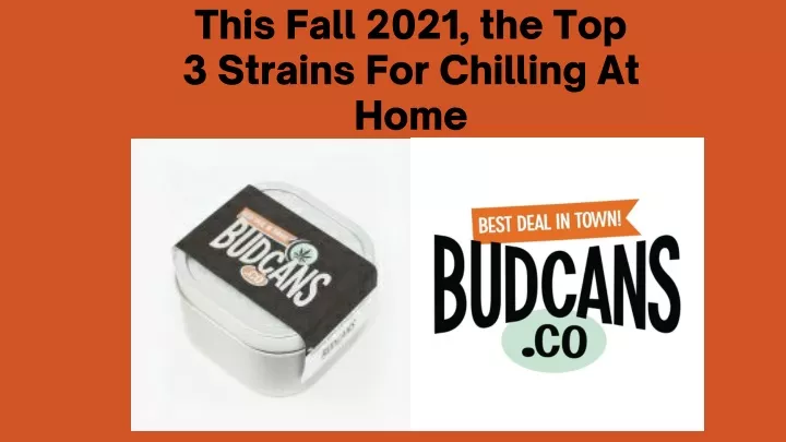 this fall 2021 the top 3 strains for chilling