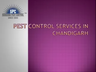 Sunshine_Pest_Control_Services_in_Chandigarh