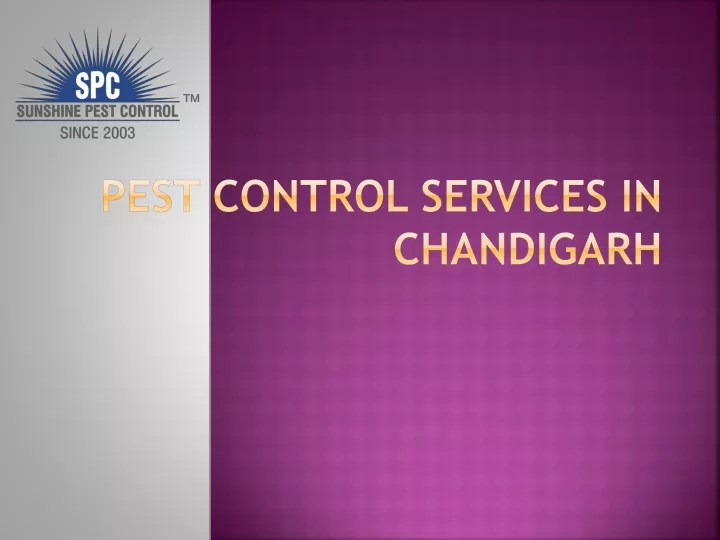 pest control services in chandigarh