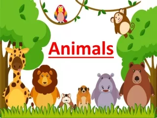 Animals PPT