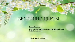 ВЕСЕННИЕ ЦВЕТЫ