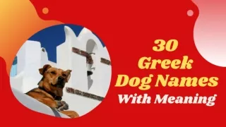 30 Best Greek Dog Names With Meaning 2021 ! Unique Pappy Names