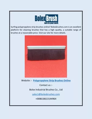 Polypropylene Strip Brushes Online | Bolexbrushes.com
