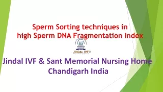 Sperm Preparation in High DFI | Infertility Treatment | Jindal IVF Chandigarh