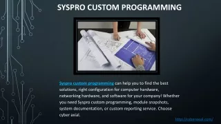 Syspro Custom Programming