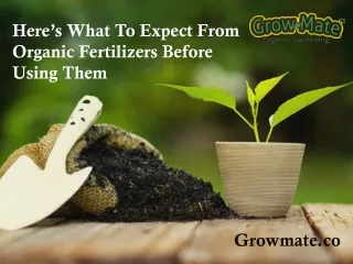 What To Expect From Organic Fertilizers Before Using Them