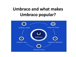 umbraco and what makes umbraco popular