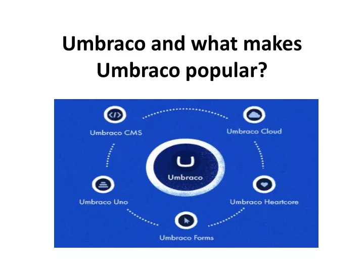 umbraco and what makes umbraco popular
