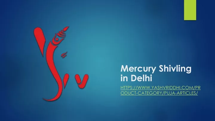 mercury shivling in delhi