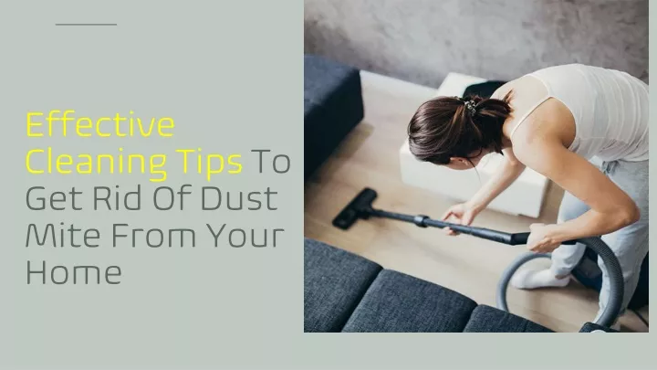 effective cleaning tips to get rid of dust mite from your home