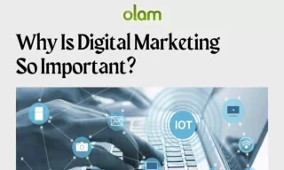 Why Is Digital Marketing So Important?