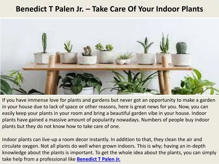 benedict t palen jr take care of your indoor plants