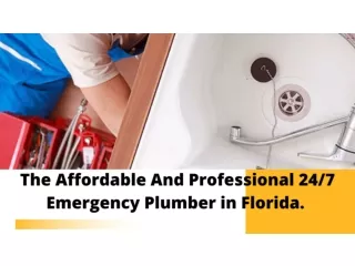 The Affordable And Professional 247 Emergency Plumber in Florida.