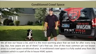 Conditioned Crawl Space
