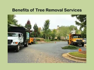 benefits of tree removal services
