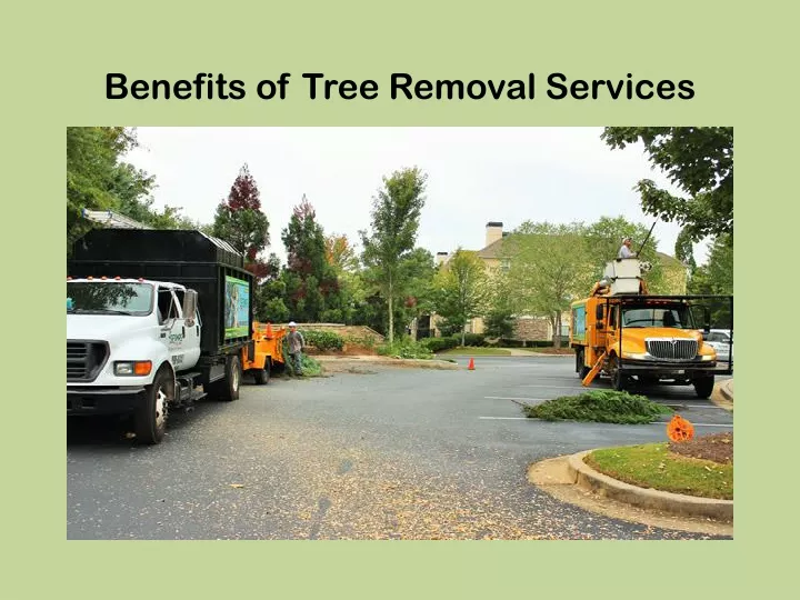 benefits of tree removal services