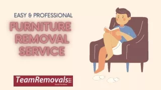 EASY & PROFESSIONAL FURNITURE REMOVAL SERVICE - Teamremoval