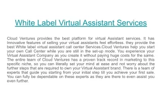 White Label Virtual Assistant Services
