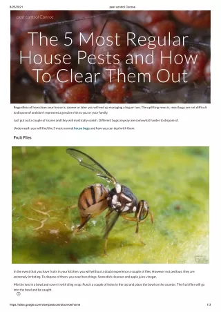 pest control Conroe