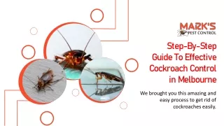 Step-By-Step Guide To Effective Cockroach Control in Melbourne
