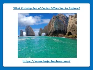 What Cruising Sea of Cortez Offers You to Explore