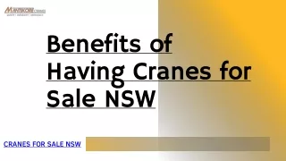 Benefits of Having Cranes for Sale NSW