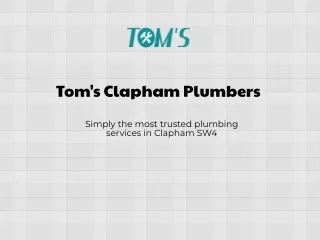 Tom's Clapham Plumbers Presentation