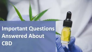 Important Questions Answered About CBD