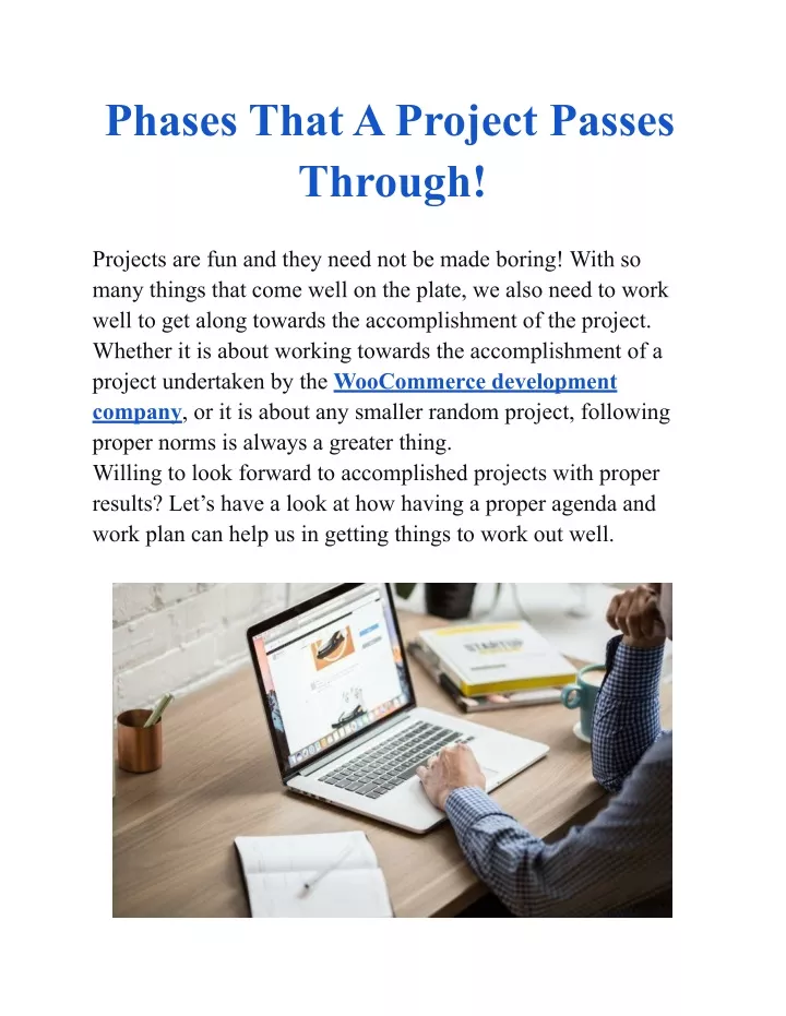 phases that a project passes through