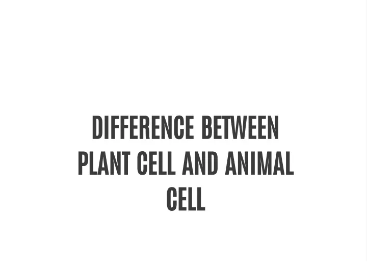difference between plant cell and animal cell