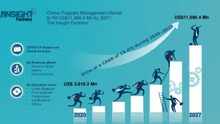 online program management market