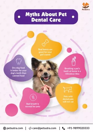 Common Myths About Canine Dental Care - Dog Health - PetSutra