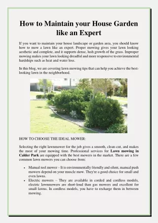 how to maintain your house garden like an expert