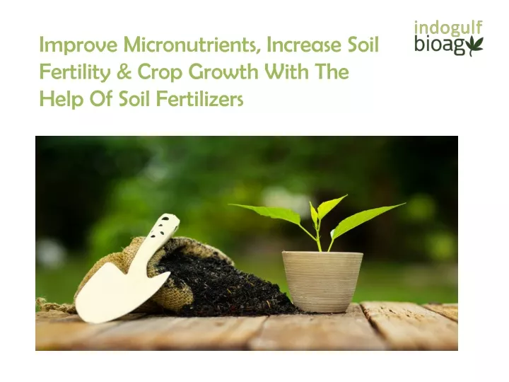improve micronutrients increase soil fertility