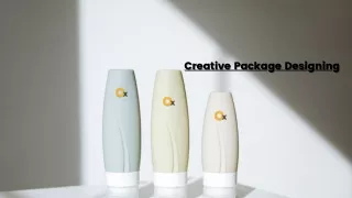 Product Creative Package Designing, Creative Package Designing in Delhi