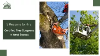 3 Reasons To Hire Certified Tree Surgeons In West Sussex