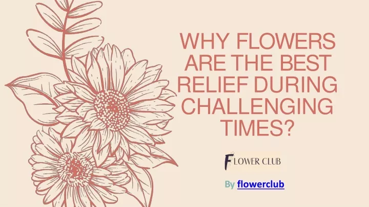 why flowers are the best relief during