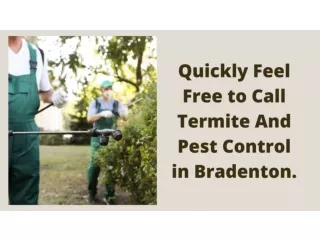 Quickly Feel Free to Call Termite And Pest Control in Bradenton.